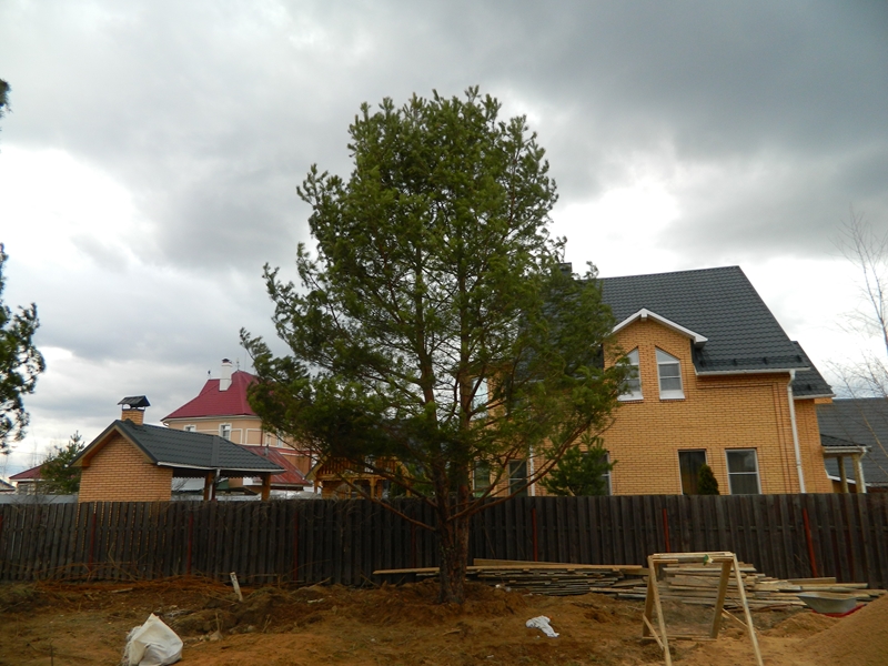 Мышецкое - весна