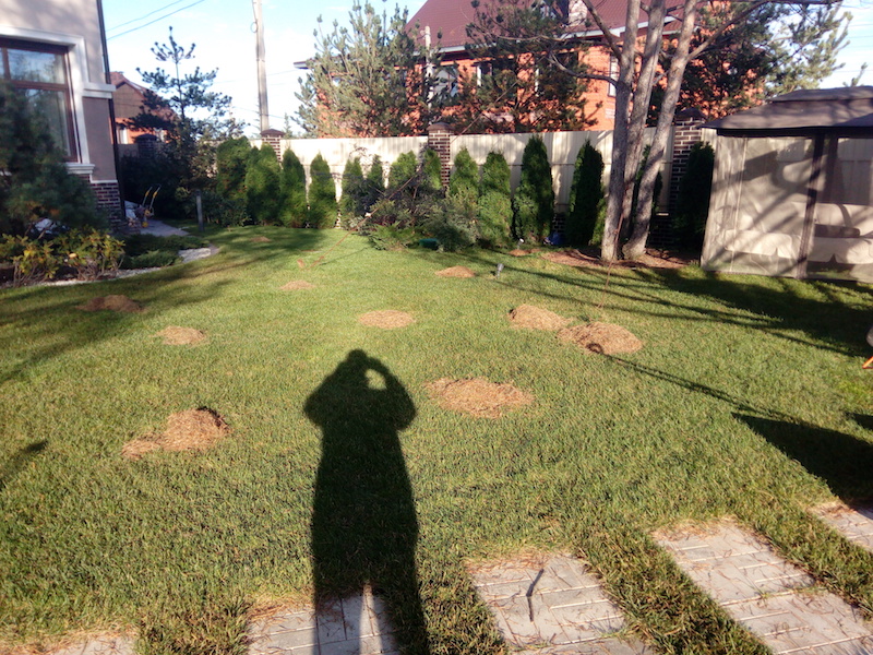 Обслуживание территории