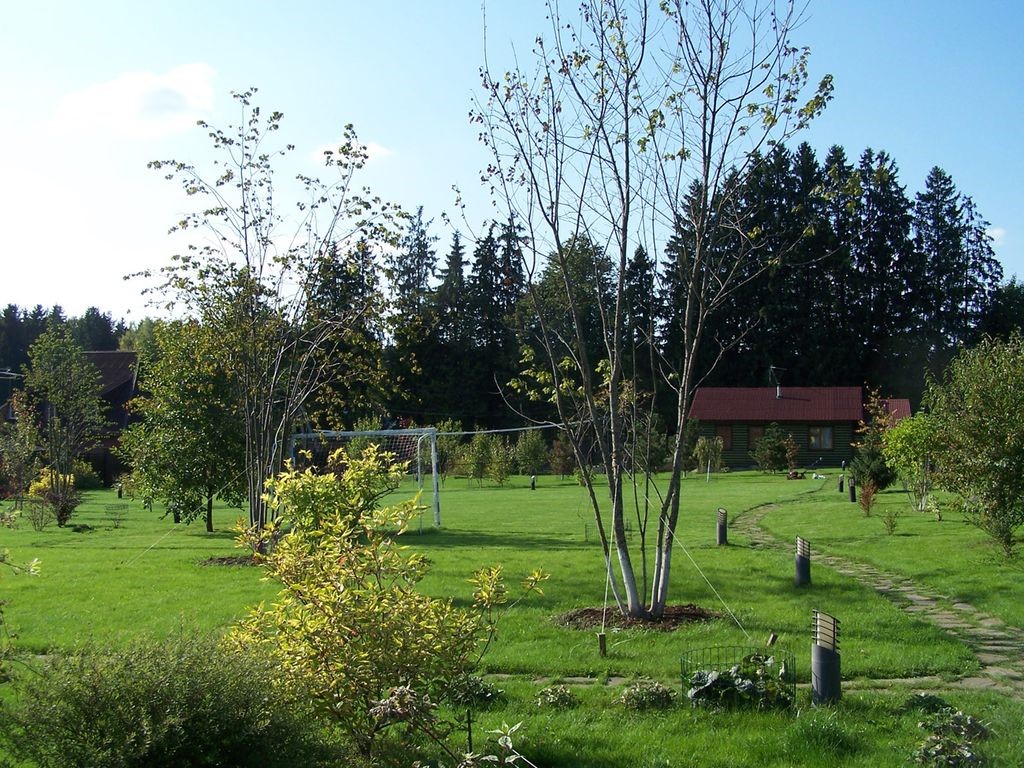 Варианты благоустройства территории