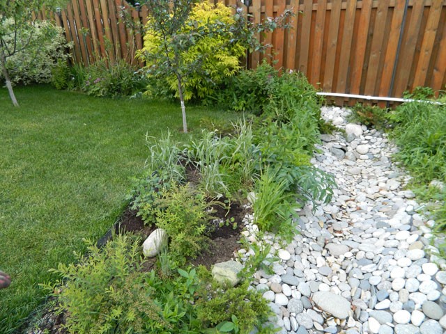 Правильный дренаж для вечнозеленого участка