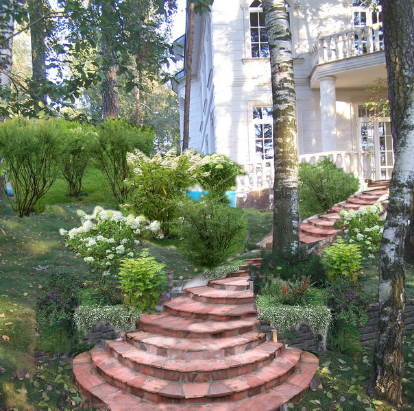 Как создать уютный сад на маленьком участке: советы и идеи